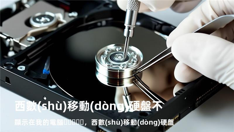 西數(shù)移動(dòng)硬盤不顯示在我的電腦，西數(shù)移動(dòng)硬盤無法顯示盤符